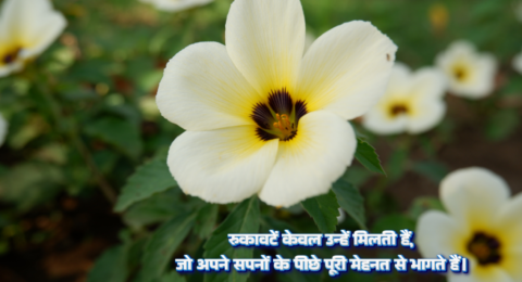 Motivational quotes in hindi