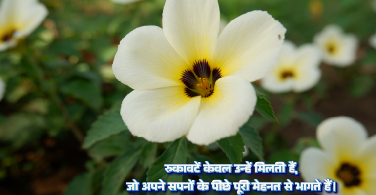 Motivational quotes in hindi