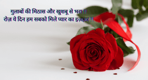 Rose Day Wishes