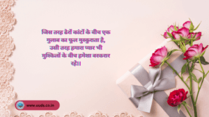 Rose Day