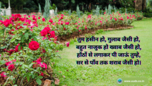 Rose Day