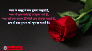 Rose Day