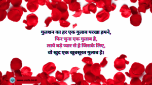 Rose Day