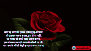 Rose Day