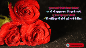 Rose Day