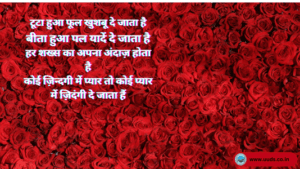 Rose Day Quotes