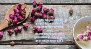 Rose Day Wishes