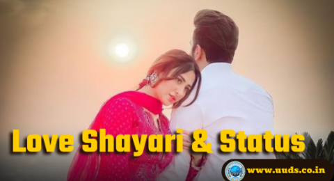 Love Shayari & Status
