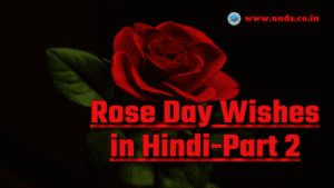 rose day