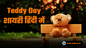 Teddy Day
