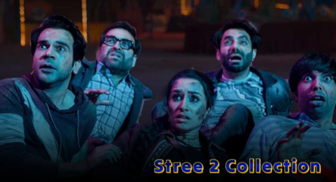 Stree 2