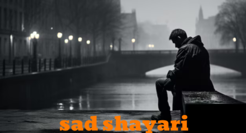 Best Sad Shayari in Hindi 2024