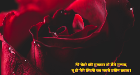 Happy Rose Day Wishes