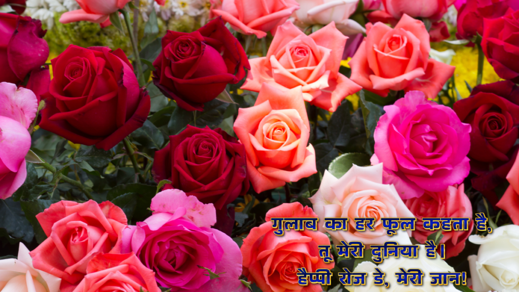 Rose Day