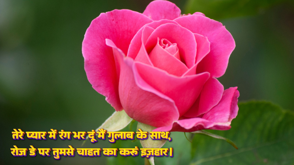 Happy Rose Day Wishes