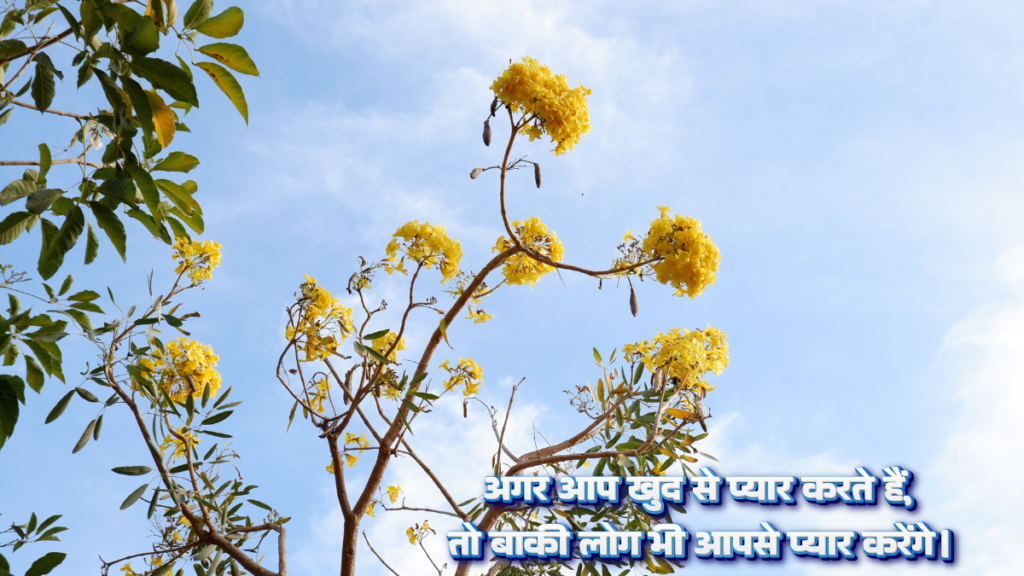 Motivational Suvichar