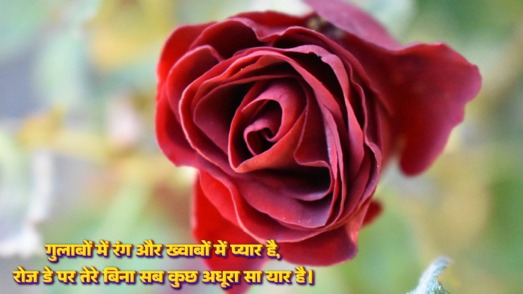 Happy Rose Day Wishes