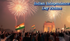 Indian Independence Day Picture