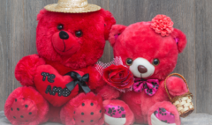 Teddy Bear Day