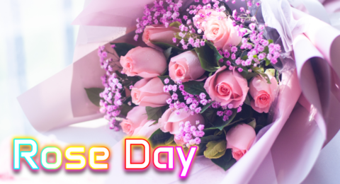 Rose Day