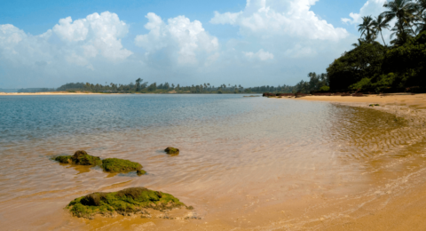 Diveagar