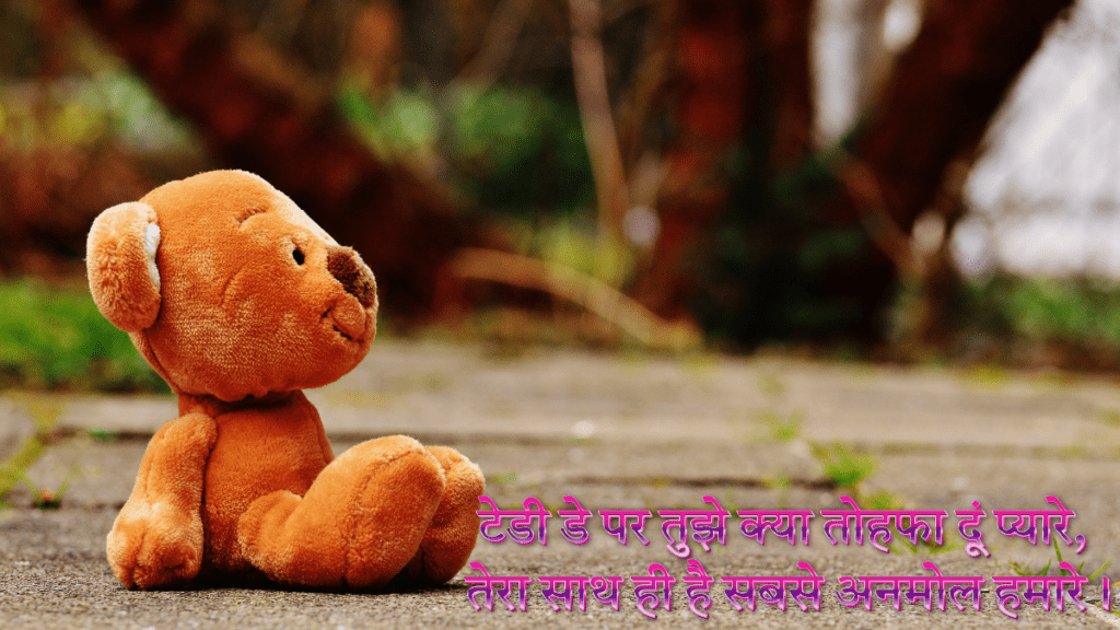 Happy Teddy Day Shayari