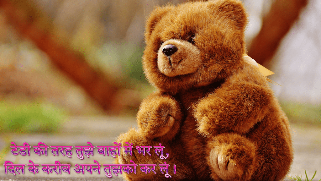 Happy Teddy Day Shayari