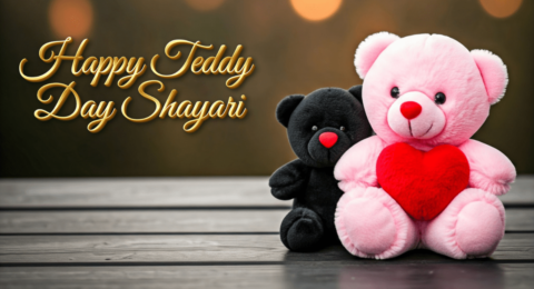 Happy Teddy Day Shayari
