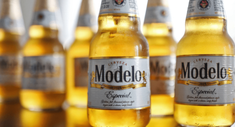 Modelo Beer 2025