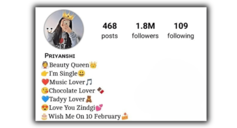 Instagram Bio for Girls