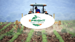 Spright Agro Share Price