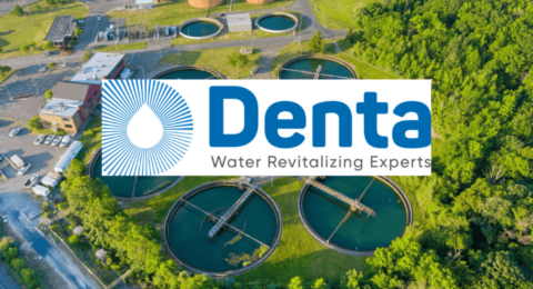 Denta Water Share Price