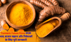 Turmeric Future Price