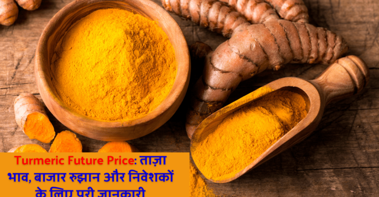 Turmeric Future Price