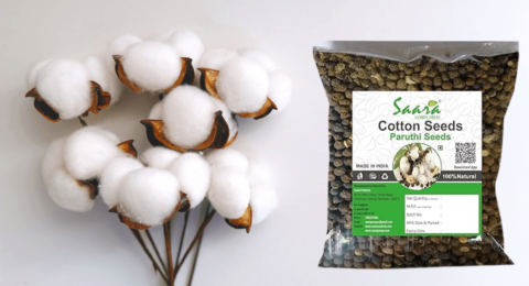 Cotton Seed Price Today