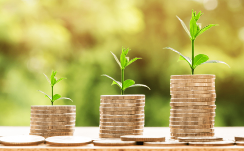 Systematic Investment Plan News