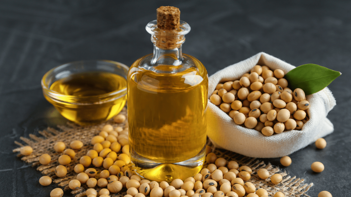 CBOT सोयाबीन तेल