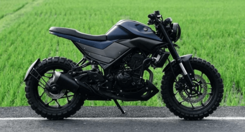 MT25