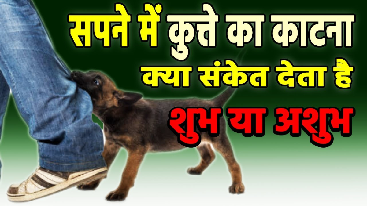 Sapne me Kutte ka Katna