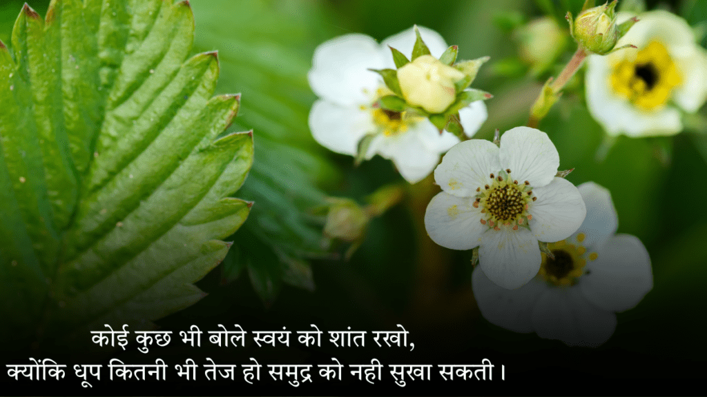 Best Anmol Vachan