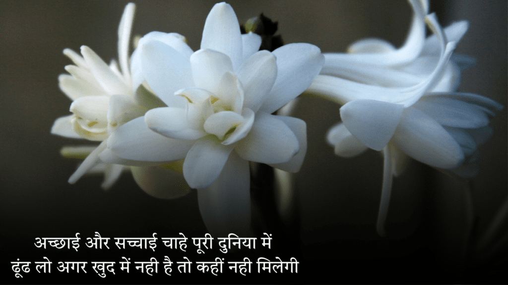 Best Anmol Vachan